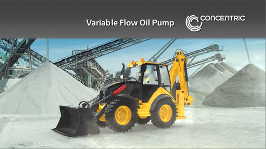 Variable Flow Oil Pump